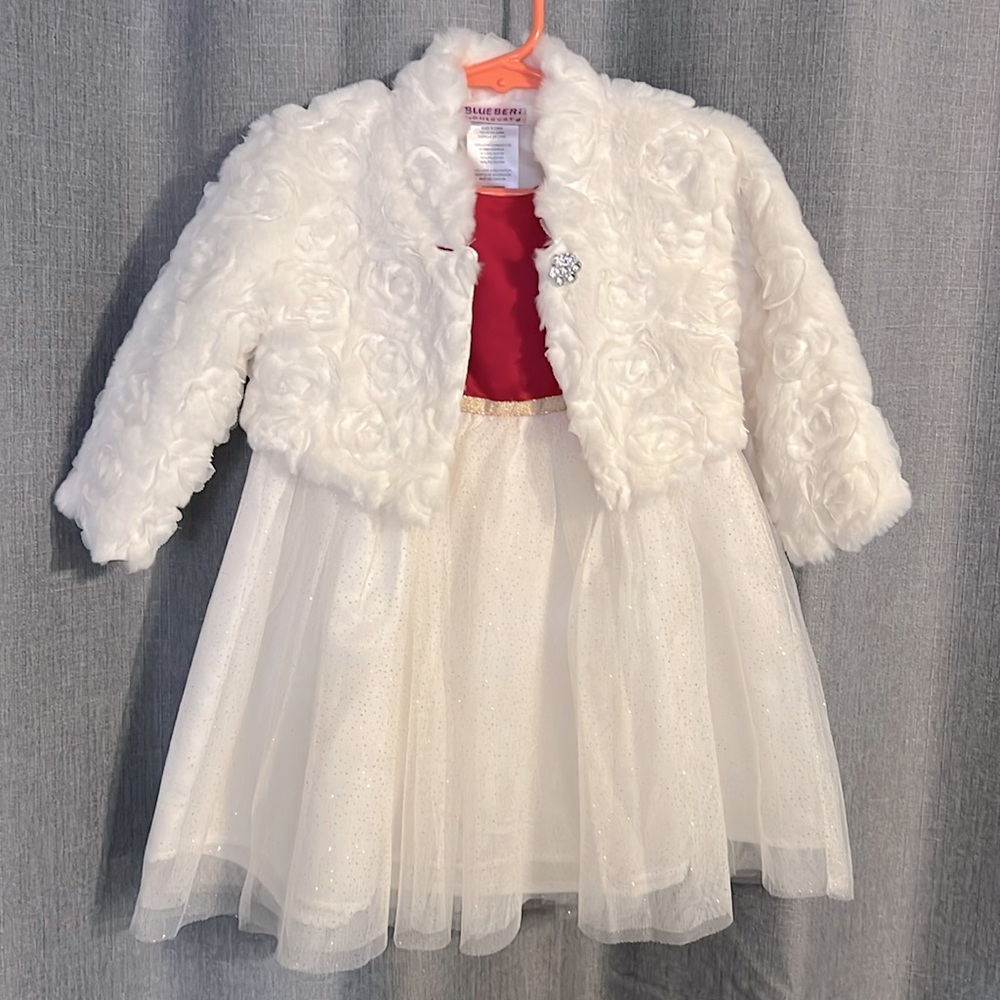 Holiday dress, 3T, great condition